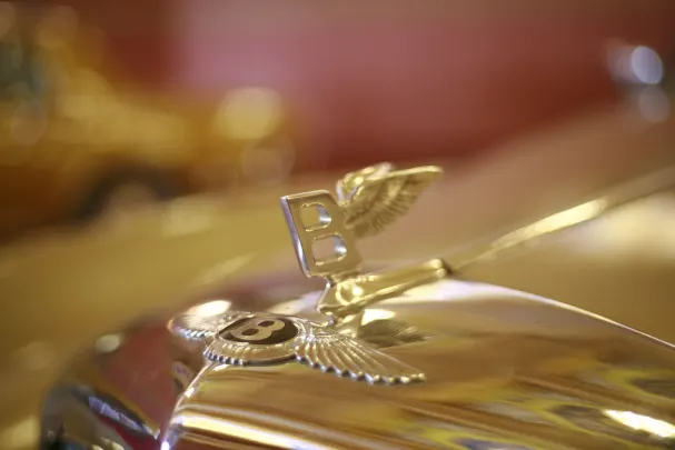 Kasino Bet Winner Apl Android/iOS